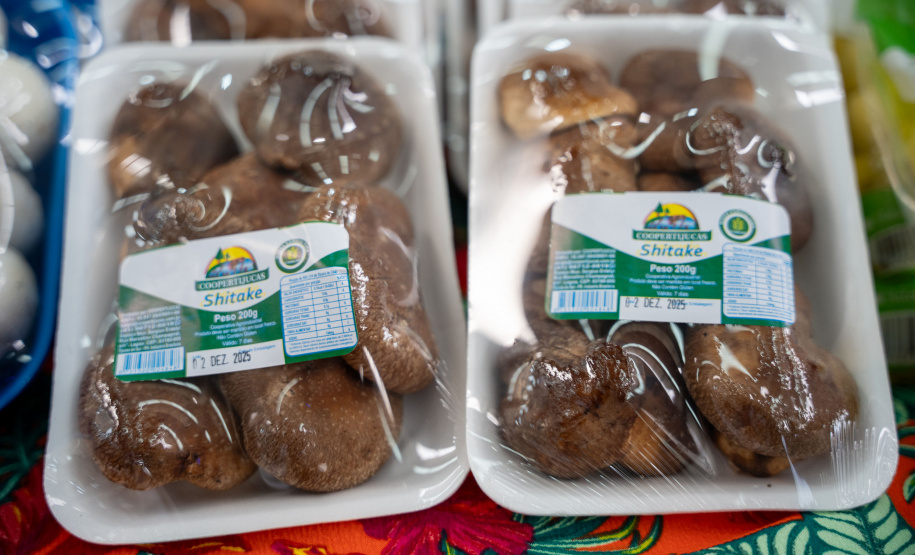 PRODUÇÃO COGUMELOS