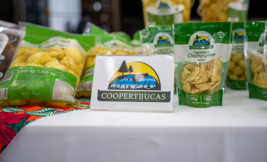 PRODUÇÃO COGUMELOS