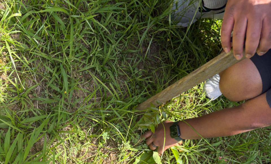 Alunos criam “Canteiro de Africanidades” para ensinar história e cultura afro-brasileira