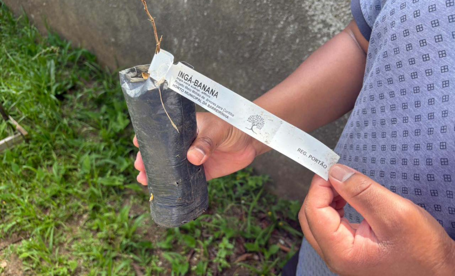 Alunos criam “Canteiro de Africanidades” para ensinar história e cultura afro-brasileira