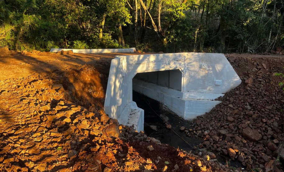 Paraná acelera transferência de tecnologia para impulsionar o setor produtivo