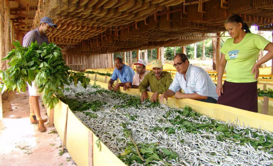 Governador sanciona reestruturação da carreira dos servidores do IDR-Paraná