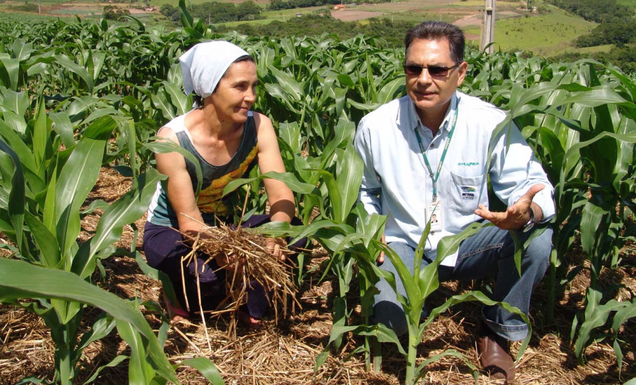 Governador sanciona reestruturação da carreira dos servidores do IDR-Paraná