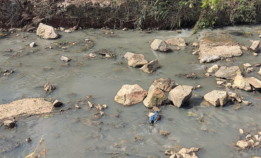 SEED - Projeto escolar mapeia impactos e planeja recuperação de rio na RMC