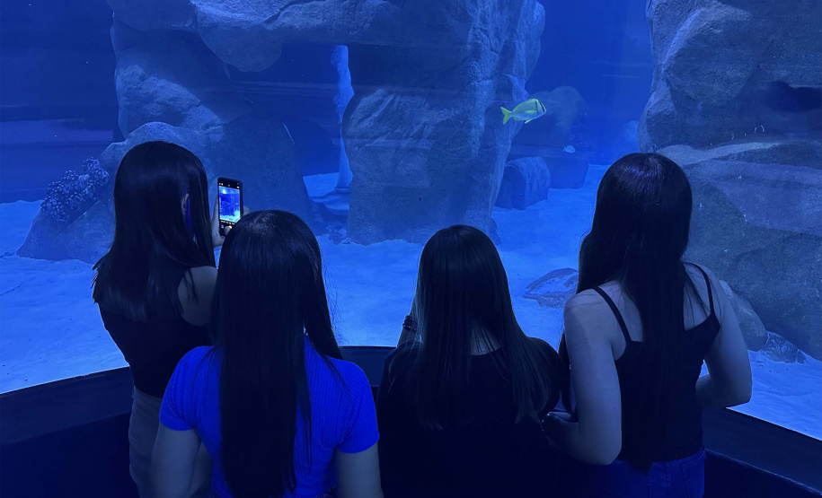 Alunos de Rio Bonito do Iguaçu encerram ano letivo com viagem especial a Foz do Iguaçu