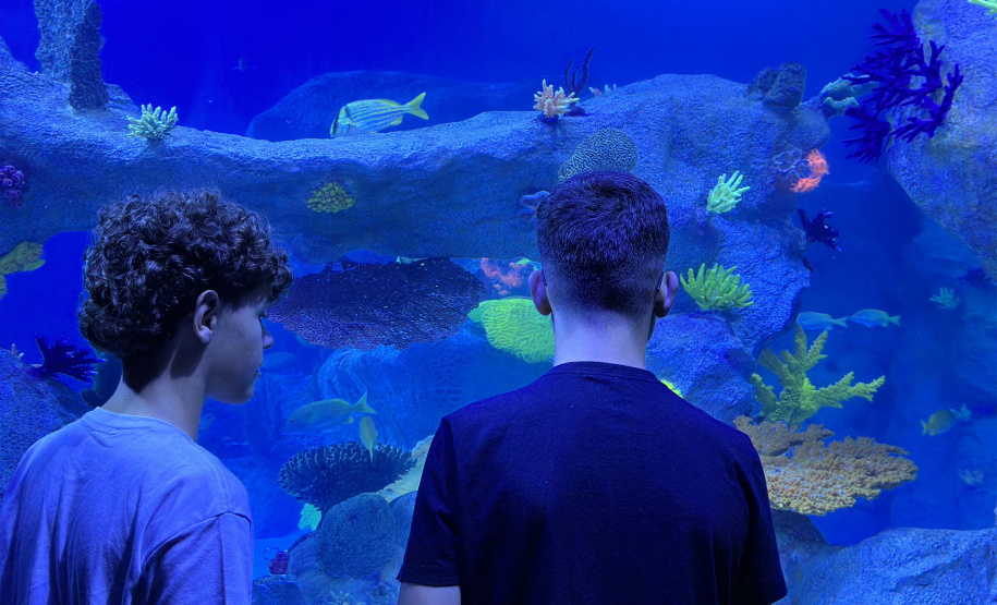 Alunos de Rio Bonito do Iguaçu encerram ano letivo com viagem especial a Foz do Iguaçu