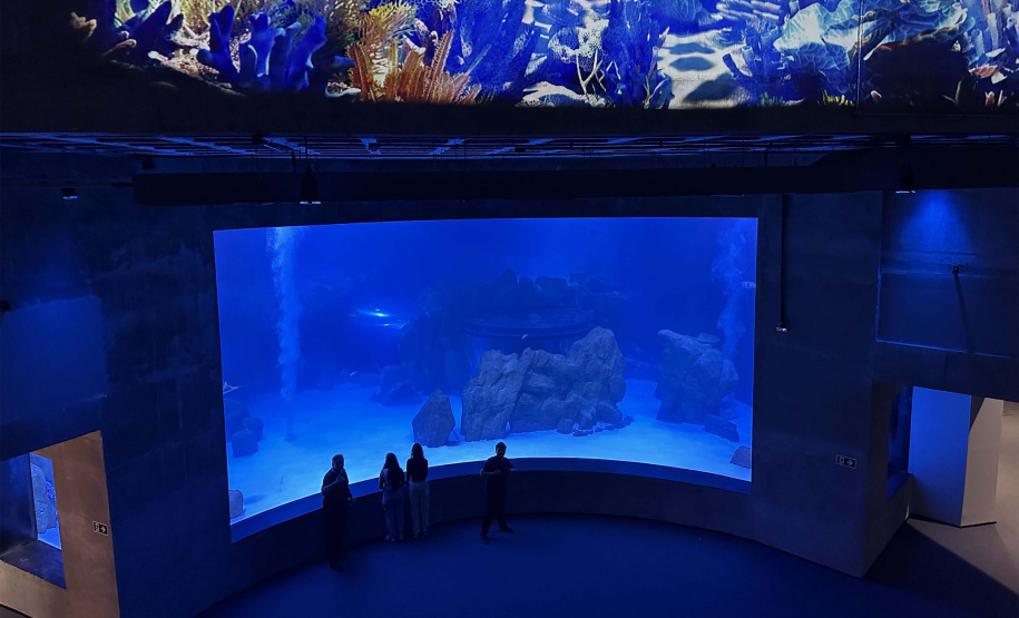Alunos de Rio Bonito do Iguaçu encerram ano letivo com viagem especial a Foz do Iguaçu