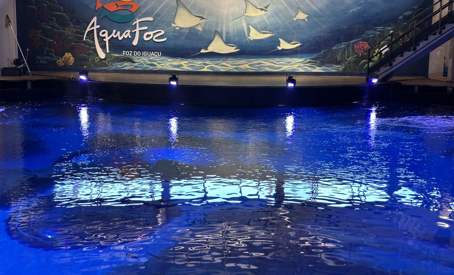 Alunos de Rio Bonito do Iguaçu encerram ano letivo com viagem especial a Foz do Iguaçu