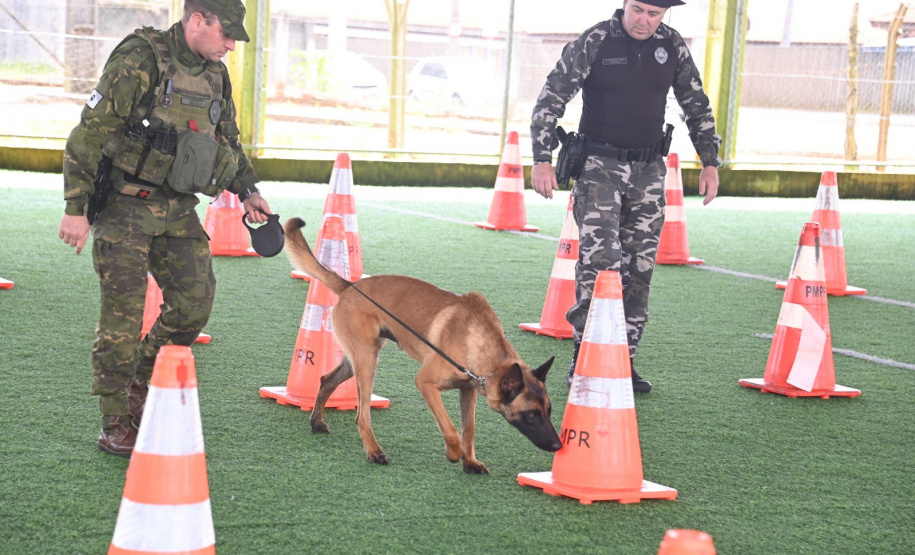 FUNDAÇÃO ARAUCÁRIA - Kits Segurança