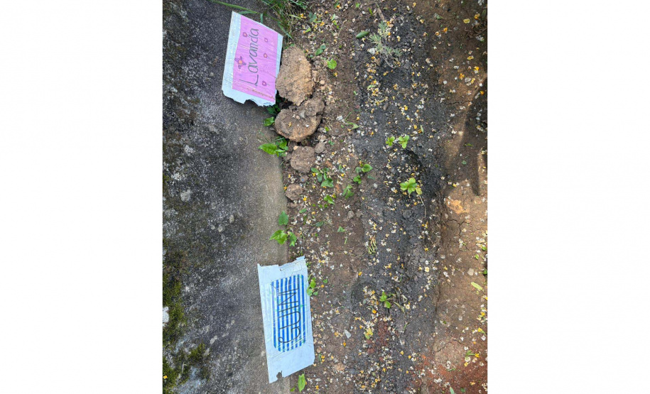 Alunos criam “Canteiro de Africanidades” para ensinar história e cultura afro-brasileira