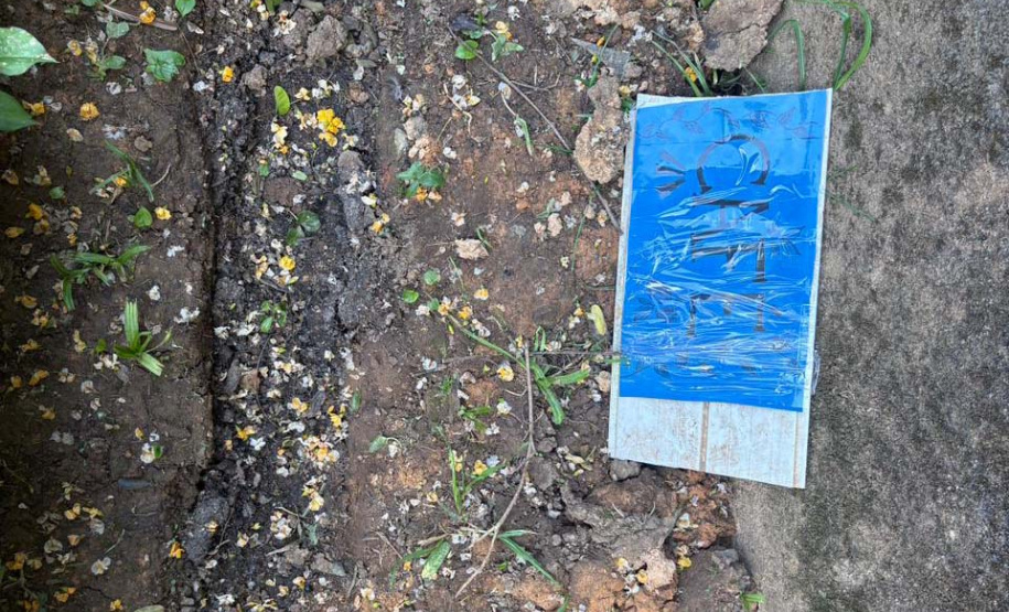 Alunos criam “Canteiro de Africanidades” para ensinar história e cultura afro-brasileira