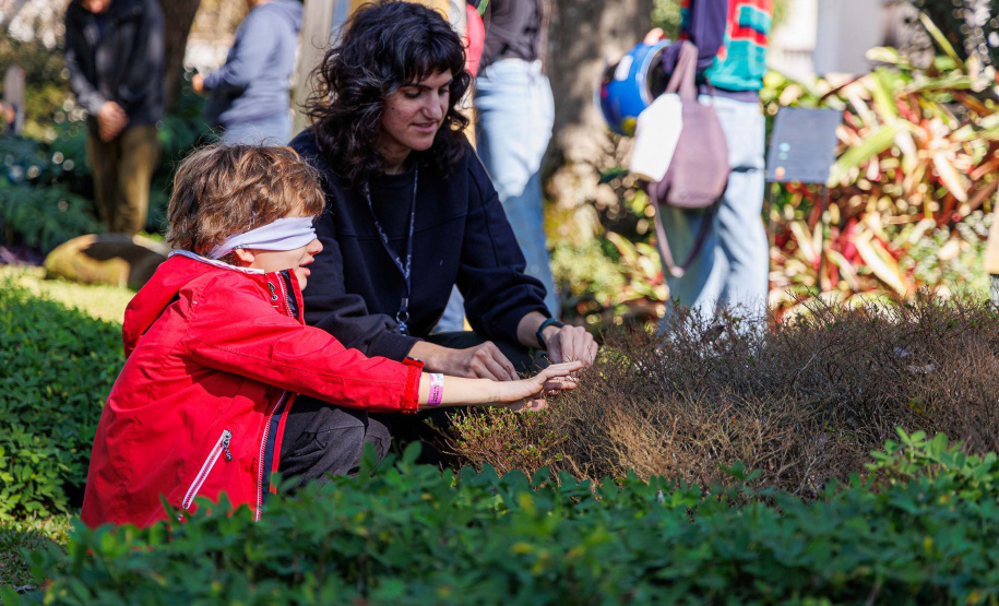 Em 2025, equipamentos culturais do Paraná ampliam públicos, modernizam espaços e projetam nova fase de descentralização