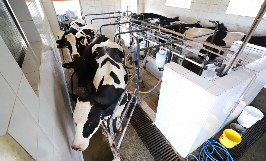 Paraná regulamenta lei que proíbe reconstituição de leite em pó importado