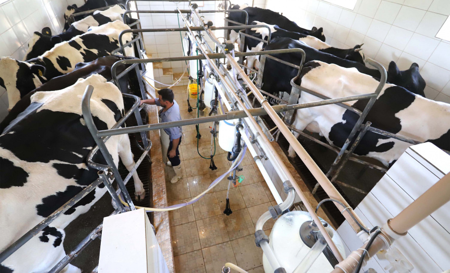 Paraná regulamenta lei que proíbe reconstituição de leite em pó importado