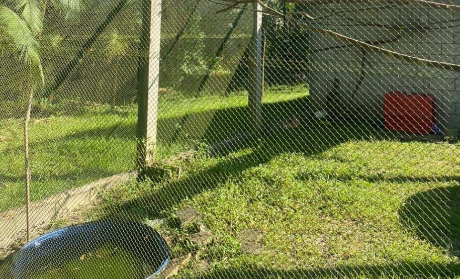 Pronto Atendimento a Animais Silvestres (PAAS) do Parque Estadual do Palmito, em Paranaguá, é referência no atendimento à fauna silvestre