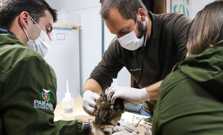 Pronto Atendimento a Animais Silvestres (PAAS) do Parque Estadual do Palmito, em Paranaguá, é referência no atendimento à fauna silvestre
