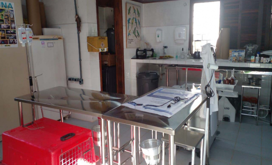 Pronto Atendimento a Animais Silvestres (PAAS) do Parque Estadual do Palmito, em Paranaguá, é referência no atendimento à fauna silvestre