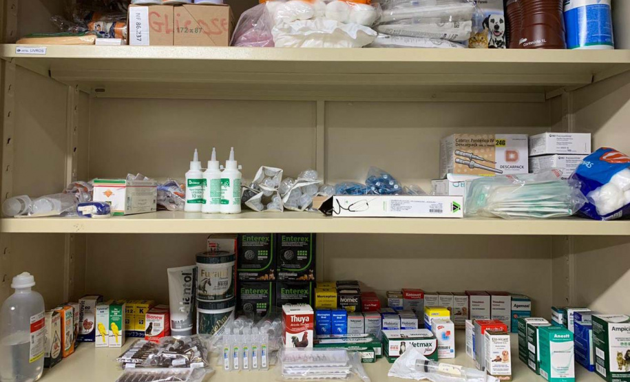 Pronto Atendimento a Animais Silvestres (PAAS) do Parque Estadual do Palmito, em Paranaguá, é referência no atendimento à fauna silvestre