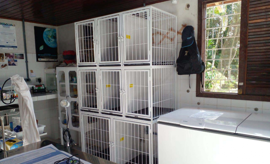 Pronto Atendimento a Animais Silvestres (PAAS) do Parque Estadual do Palmito, em Paranaguá, é referência no atendimento à fauna silvestre