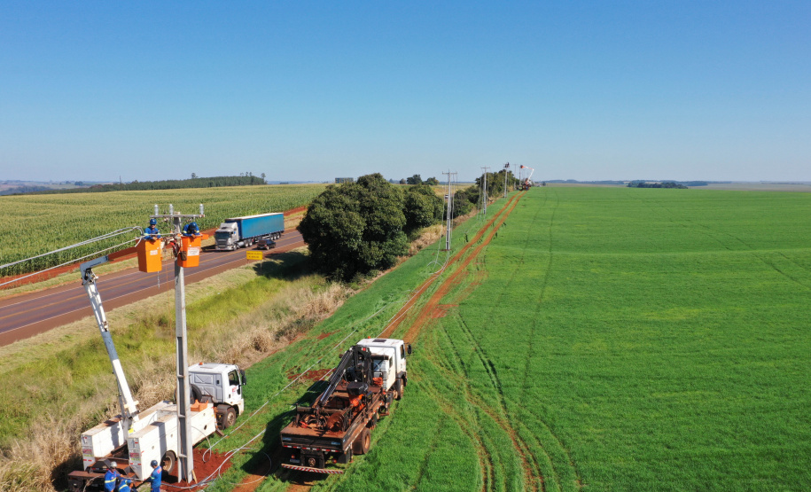 Com 25 mil km de novas redes rurais, Paraná Trifásico fortalece a agroindústria com energia mais potente e estável