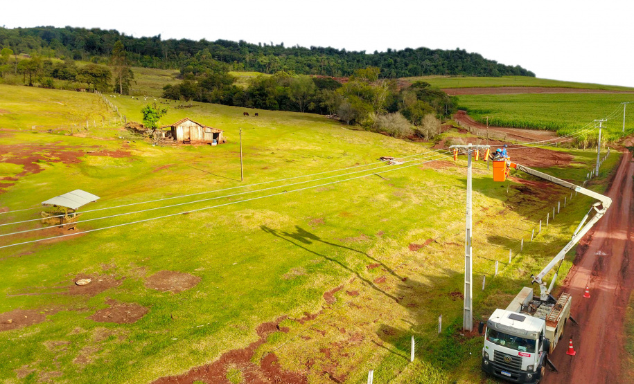 Com 25 mil km de novas redes rurais, Paraná Trifásico fortalece a agroindústria com energia mais potente e estável