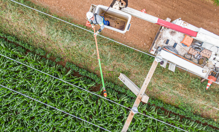 Com 25 mil km de novas redes rurais, Paraná Trifásico fortalece a agroindústria com energia mais potente e estável