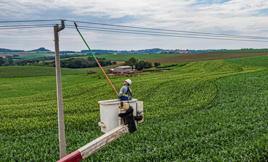 Com 25 mil km de novas redes rurais, Paraná Trifásico fortalece a agroindústria com energia mais potente e estável