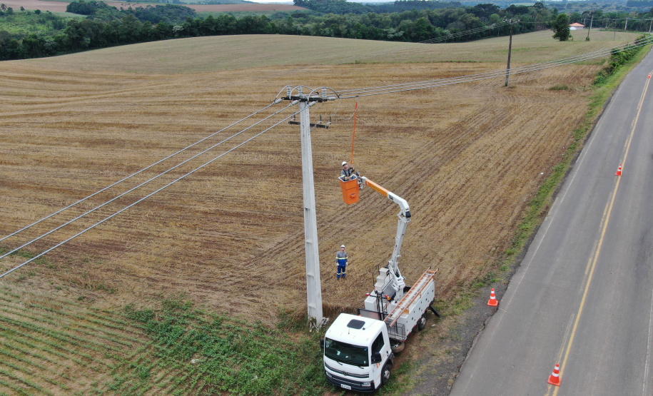 Com 25 mil km de novas redes rurais, Paraná Trifásico fortalece a agroindústria com energia mais potente e estável