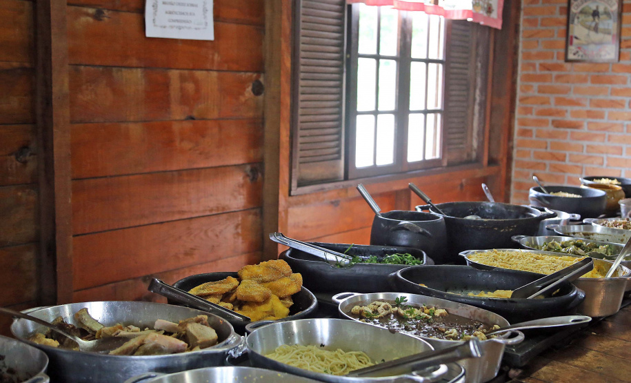 Turismo Rural no Paraná pesquisa mostra setor em expansão e perfil qualificado de empreendedores