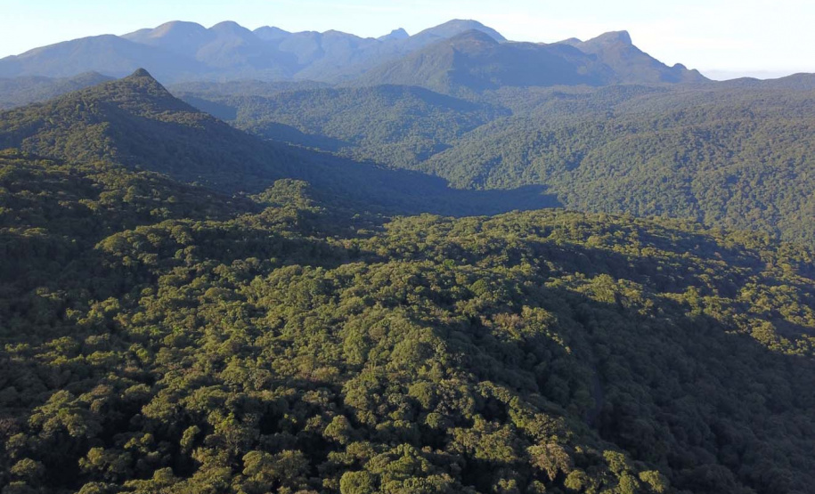 Viaje Paraná - Patrimônio mundial do Paraná, Grande Reserva Mata Atlântica é premiada no “Oscar do Turismo”