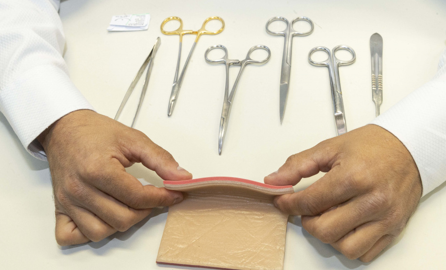 Incubada pelo Tecpar, empresa produz pele artificial de animais para simular cirurgias veterinárias