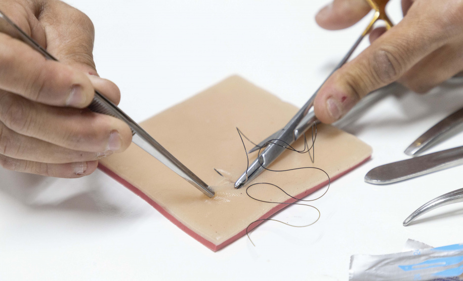 Incubada pelo Tecpar, empresa produz pele artificial de animais para simular cirurgias veterinárias