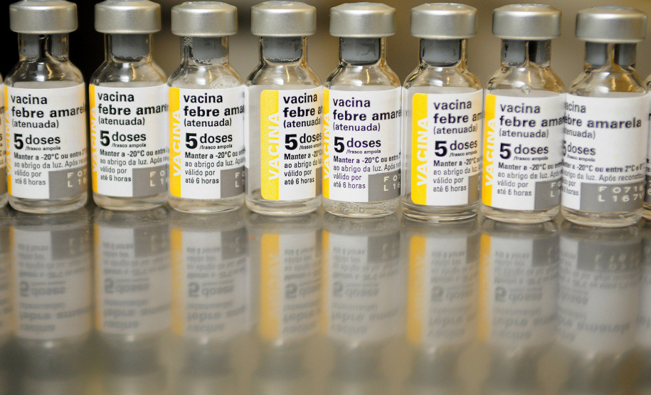 Perto do verão: Saúde reforça necessidade da vacinação e cuidados contra a febre amarela