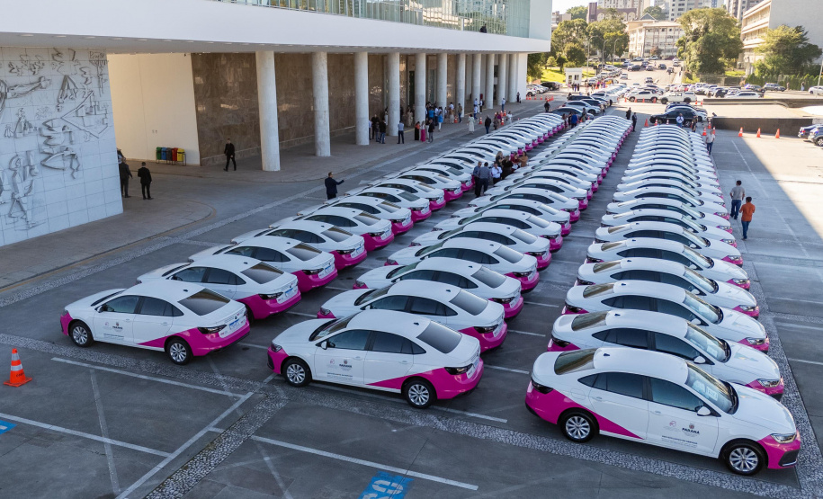 Avanço histórico nas políticas para mulheres marca o ano de 2025 no Paraná