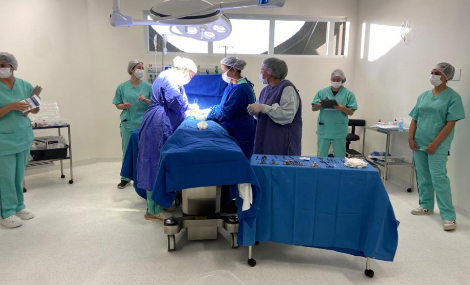 Paraná amplia rede hospitalar e consolida atendimento regionalizado de alta complexidade