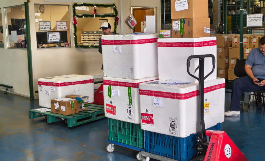 Paraná inicia a distribuição da vacina contra o Vírus Sincicial Respiratório para as Regionais de Saúde