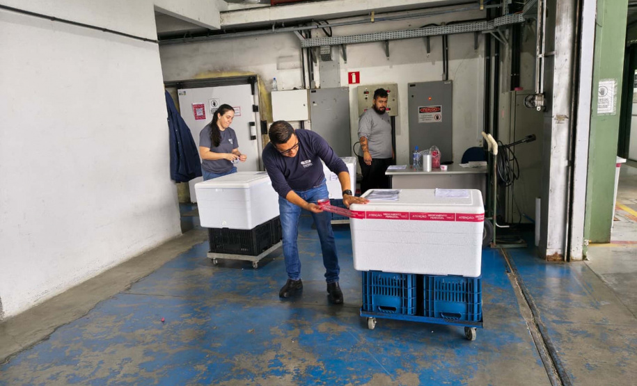 Paraná inicia a distribuição da vacina contra o Vírus Sincicial Respiratório para as Regionais de Saúde