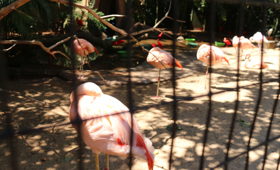 Unioeste testa crachá que lê imagens através de IA