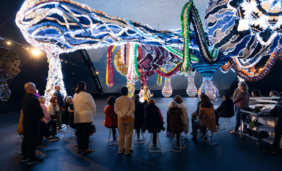 MON divulga a primeira atividade do programa Arte para Maiores de 2026