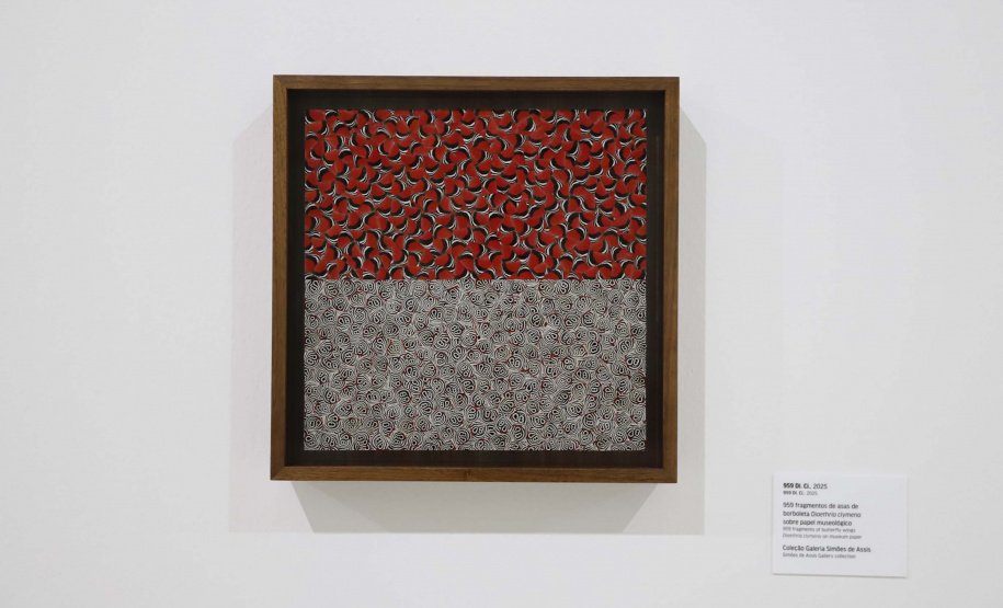 Aproveite as atividades das quartas gratuitas no MON em fevereiro