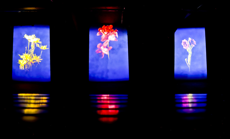 Última semana da exposição “Através”, da artista Mariana Palma