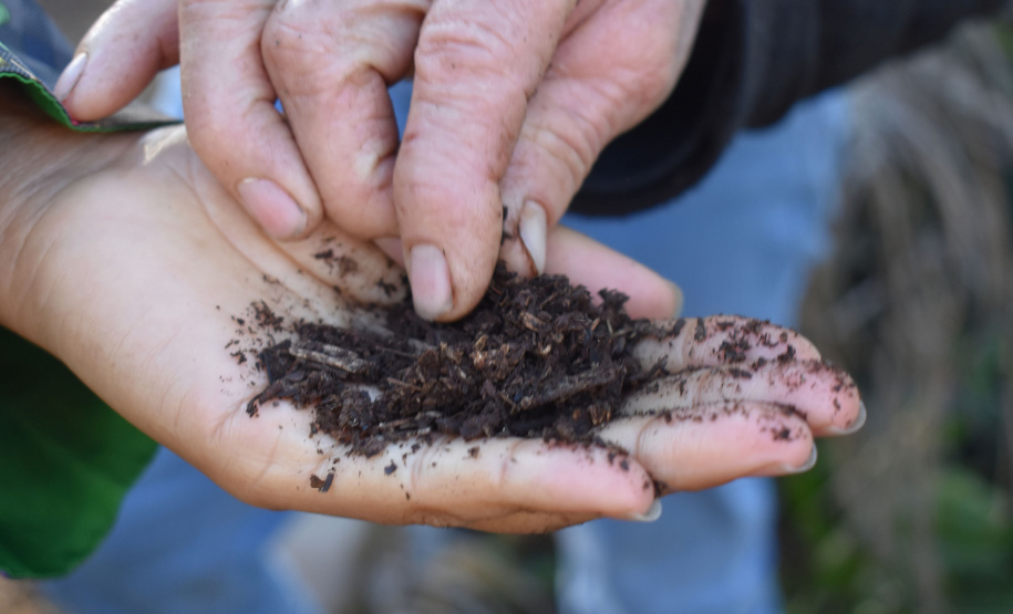 Copel - Programa de hortas da Copel ganhou 32 novas unidades em 2025