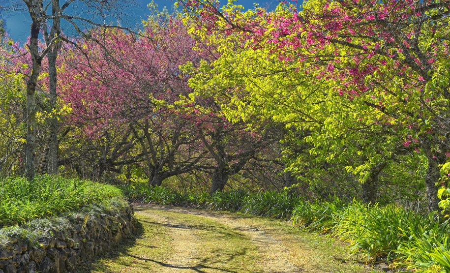 Paraná conta com 78 mil “Maracanãs” de área protegida por Reservas Particulares do Patrimônio Natural