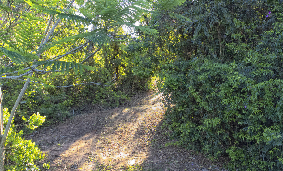 Paraná conta com 78 mil “Maracanãs” de área protegida por Reservas Particulares do Patrimônio Natural