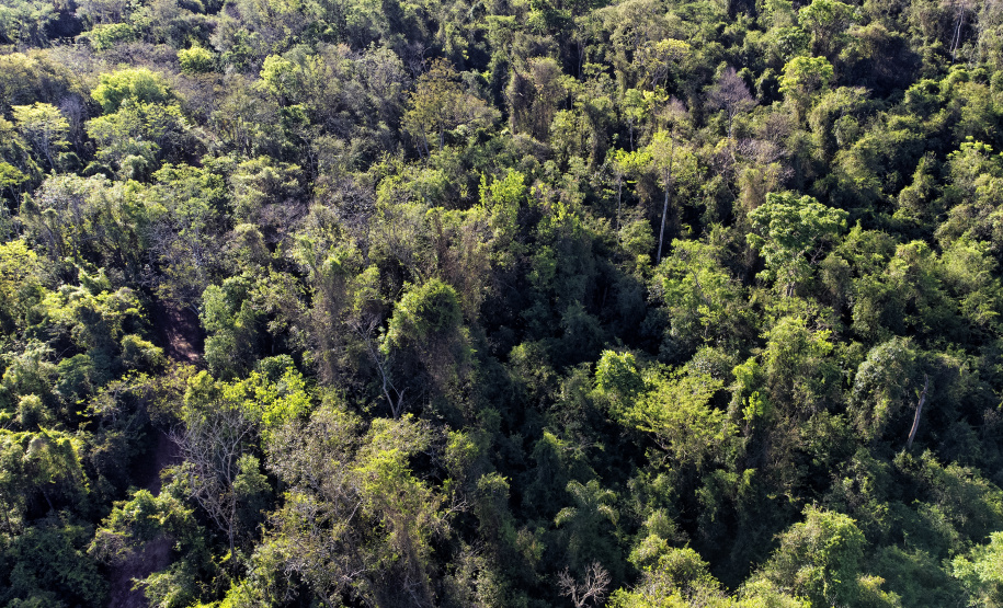 Paraná conta com 78 mil “Maracanãs” de área protegida por Reservas Particulares do Patrimônio Natural