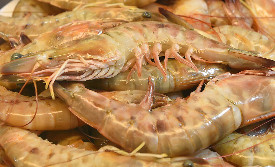 Período de defeso do camarão começa nesta quarta-feira (28) no Paraná e se estende até o dia 30 de abril.
