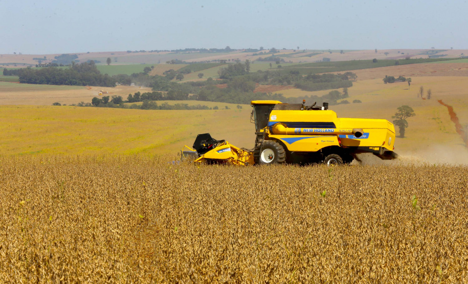 Safra de soja do Paraná se aproxima do recorde e reforça otimismo no campo, aponta Deral