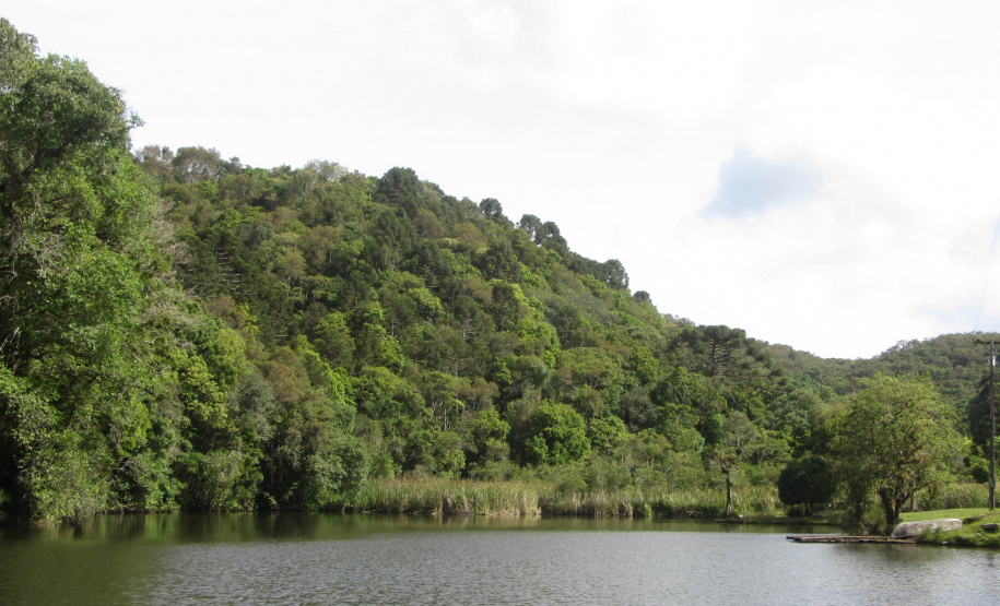 Créditos de biodiversidade
