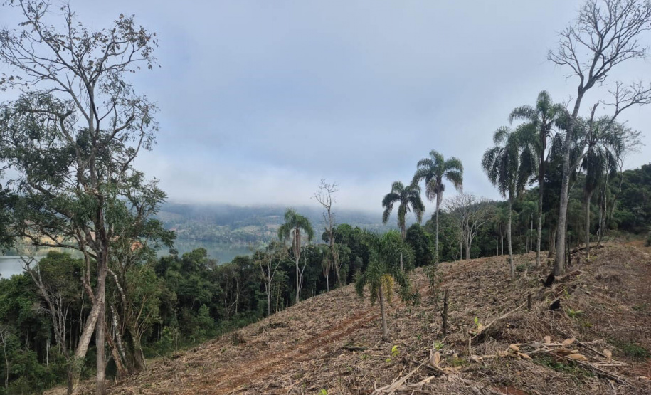 FISCALIZAÇÃO DO IAT APLICOU 8.184 MULTAS POR CRIMES AMBIENTAIS EM 2025