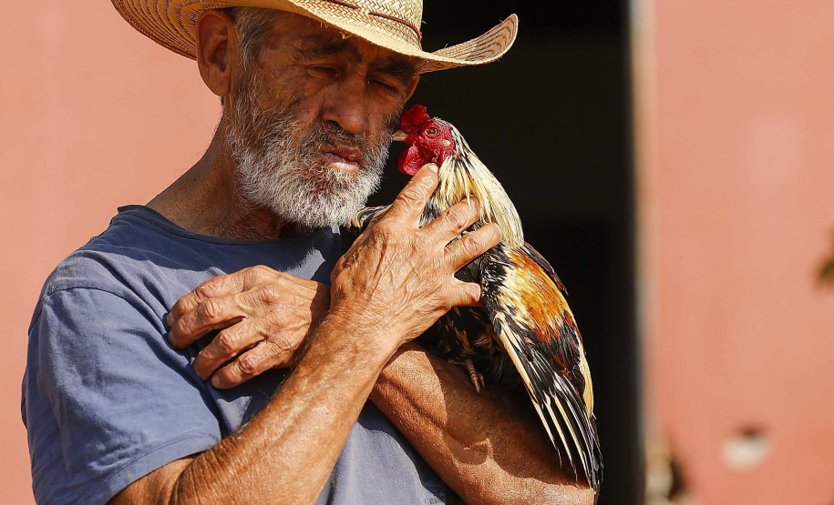 SEEC AGENDA DA SEMANA